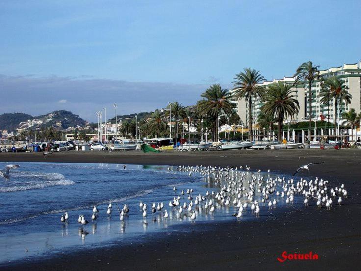 Apartamento Ático Cerca Del Mar Málaga Exterior foto